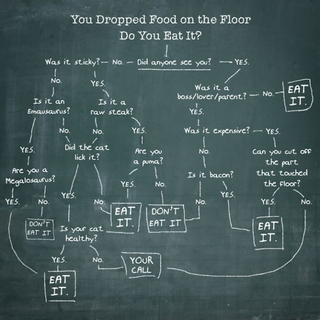 Illustration for article titled A Guide To Eating Food Off The Floor